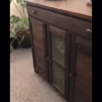 Alexa, we need guns lots of guns