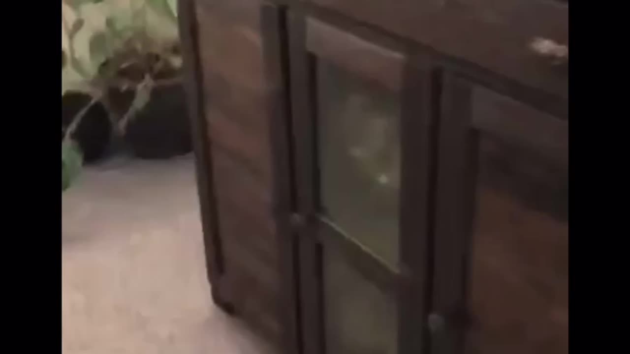 Alexa, we need guns lots of guns