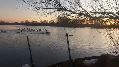 IBV Veteran/Youth Waterfowl Hunt