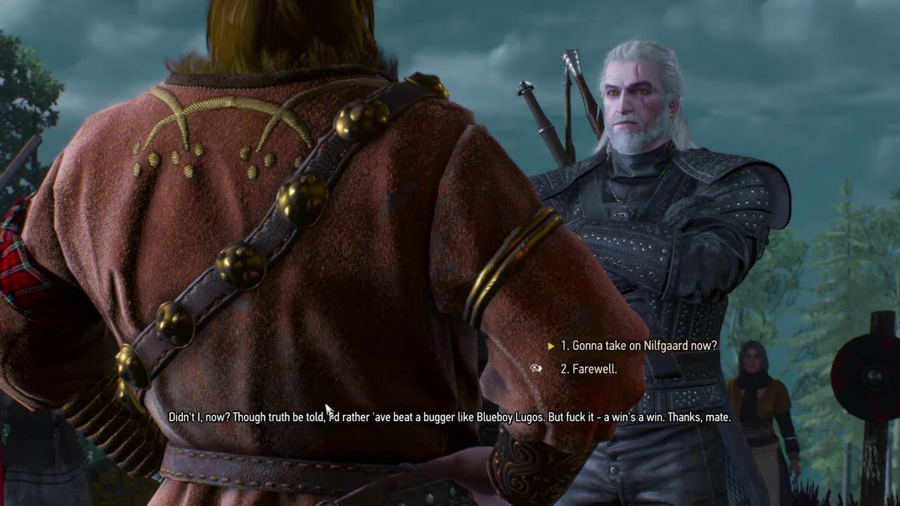 The Witcher 3 coronation hjalmar