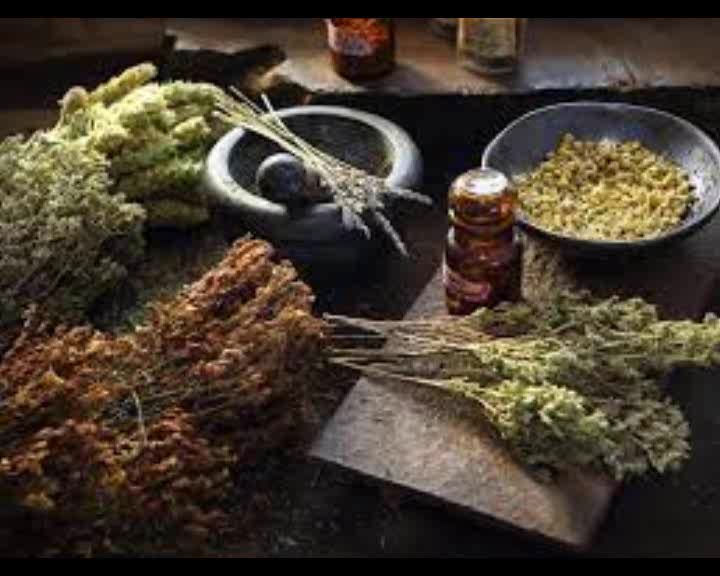 Guide to Magical Herbs