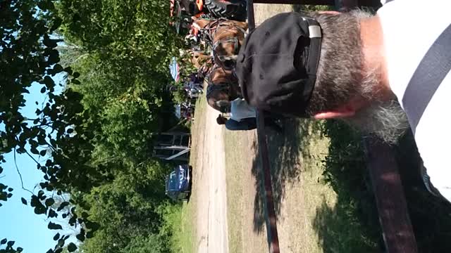 Stanley fair, light class competition
