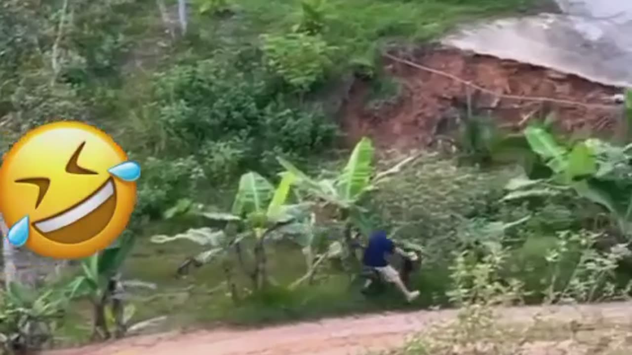https://www.instagram.com/reel/CpNm1WLsqih/?igshid=NjZiM2M3MzIxNA==