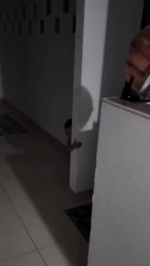 Fenômeno fantasmagórico na Bahia