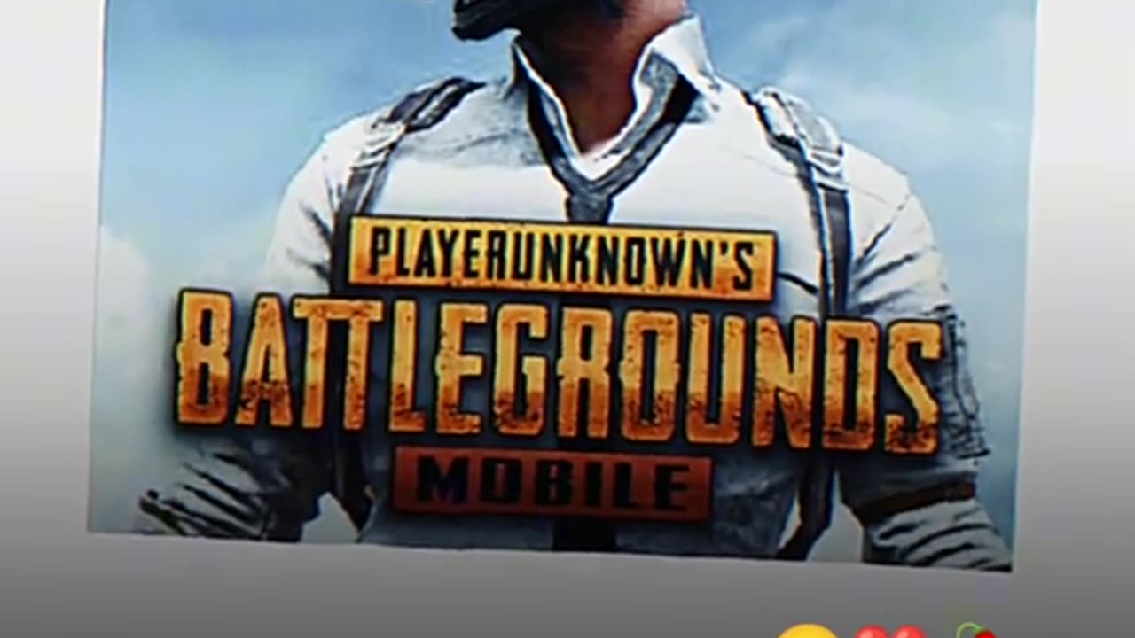 PUBG lover