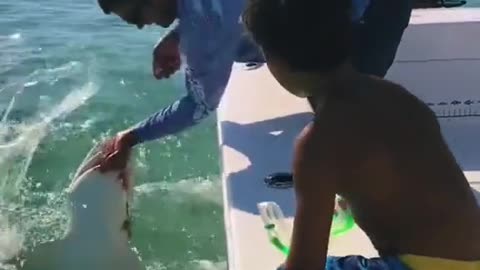 The shark bit off his pinky finger