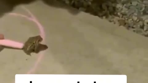 Funny memes