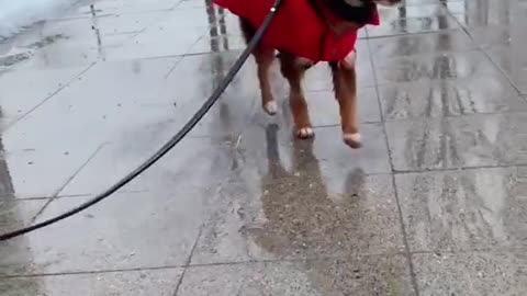 Training is going well with her new 😎