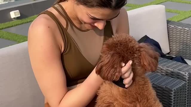 Kirtisanon Funny Video with dog