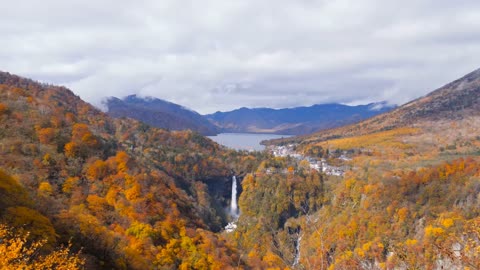 Enchanting Autumn Forests with Beautiful Piano Music