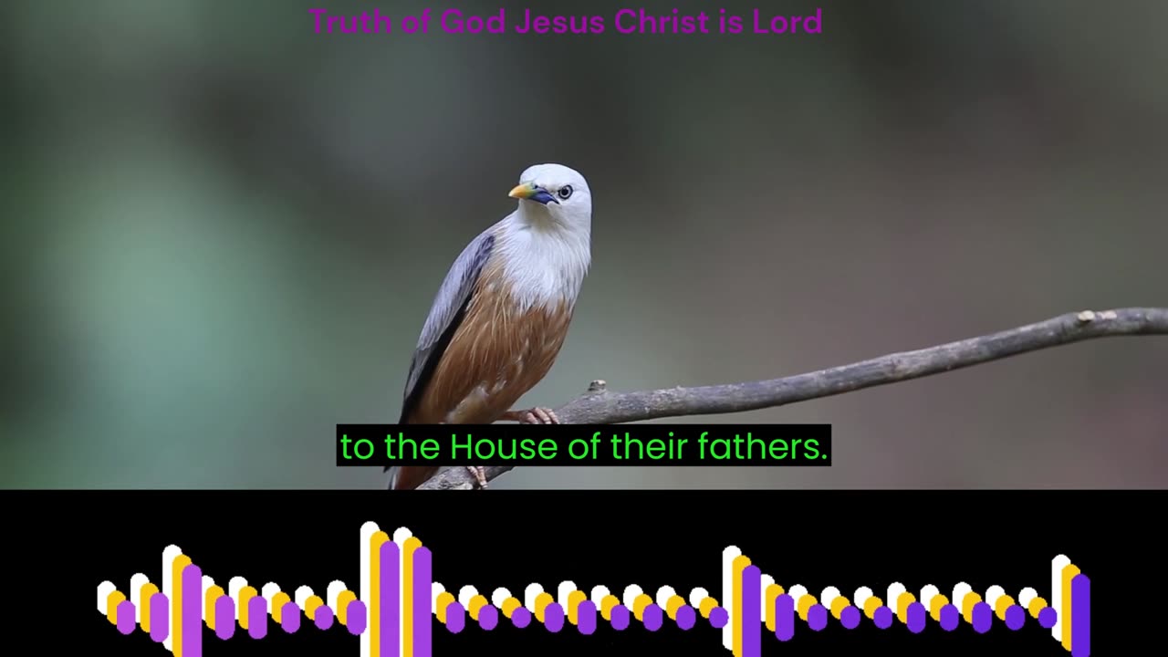 The book of Numbers Chapter 2 verse 1 to 34. King James Version