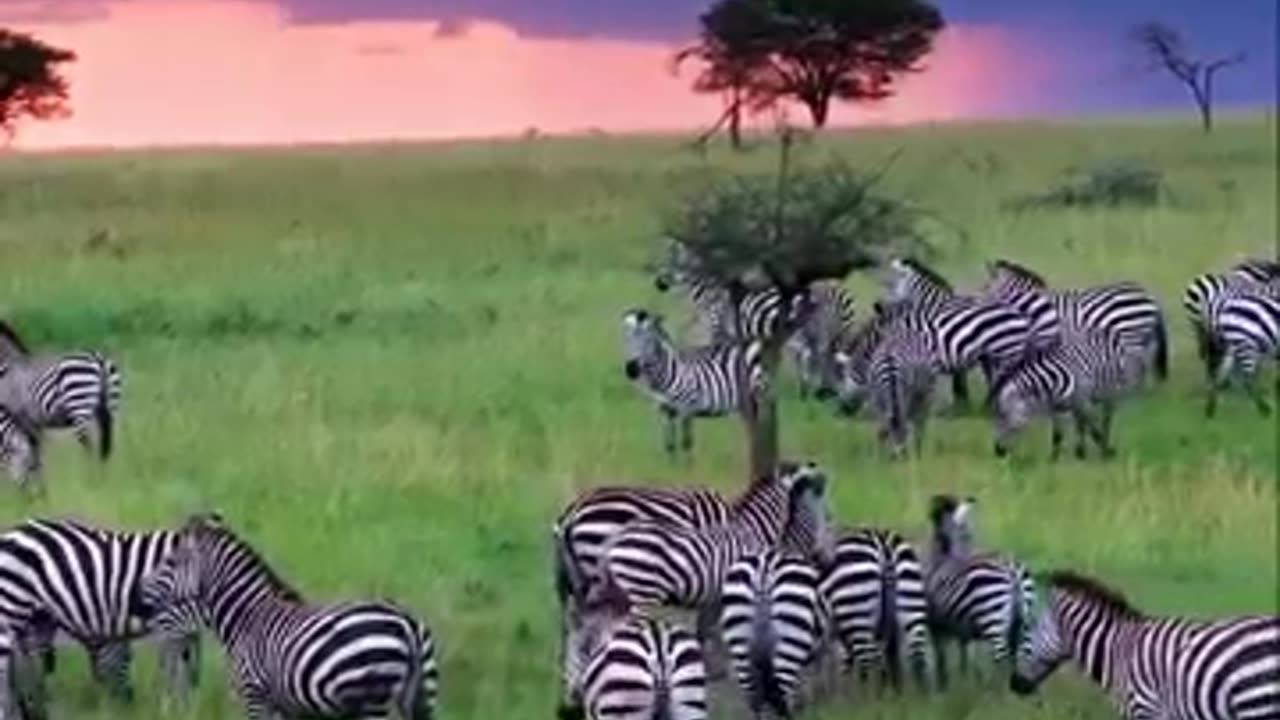 Thunderstorm in Africa