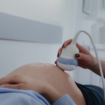 आश्चर्यजनक तथ्य / Amazing Facts