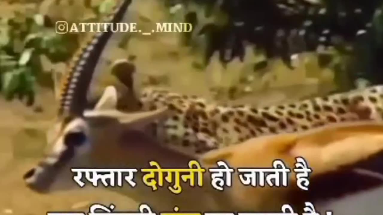 Speed increase safe in life