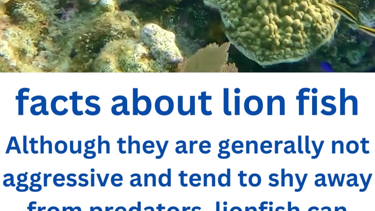 facts about lion fish...6/13