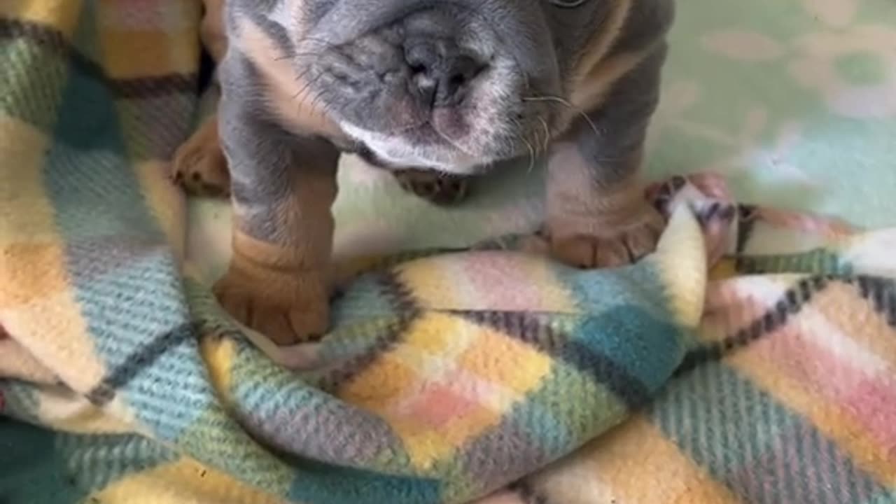Can I take you home with me please DARLING
