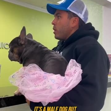 Being a transgender dog is ruff