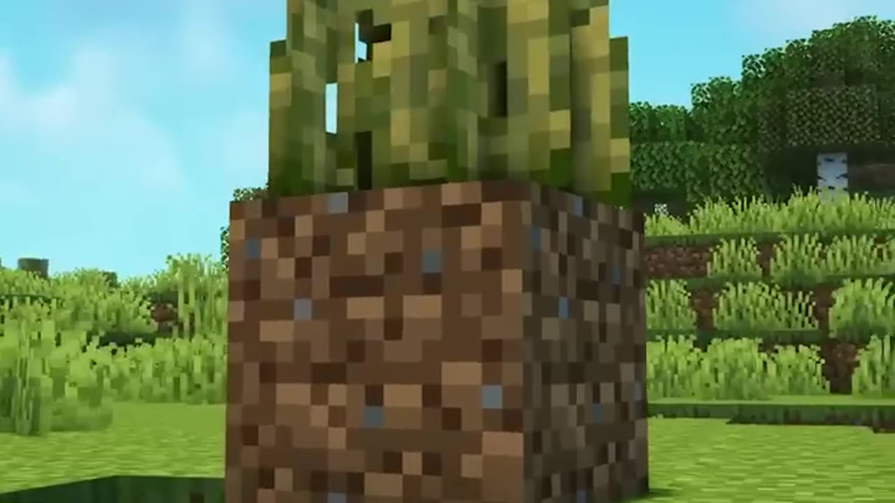 I Became a Minecraft Grass Block for a Day