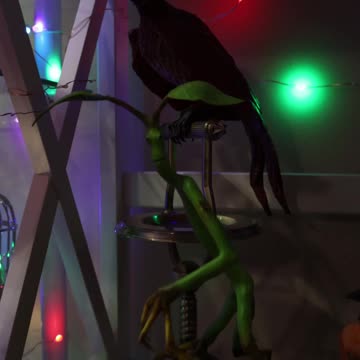 An Updated Magical Creatures Shelf! #harrypotter #fantasticbeasts