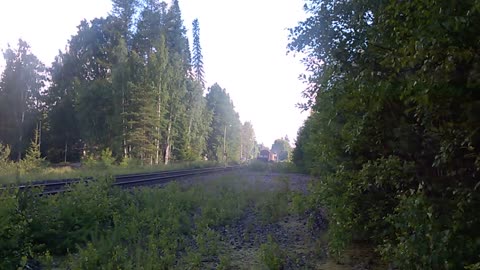 Höyryveturi 1009 Otalammella
