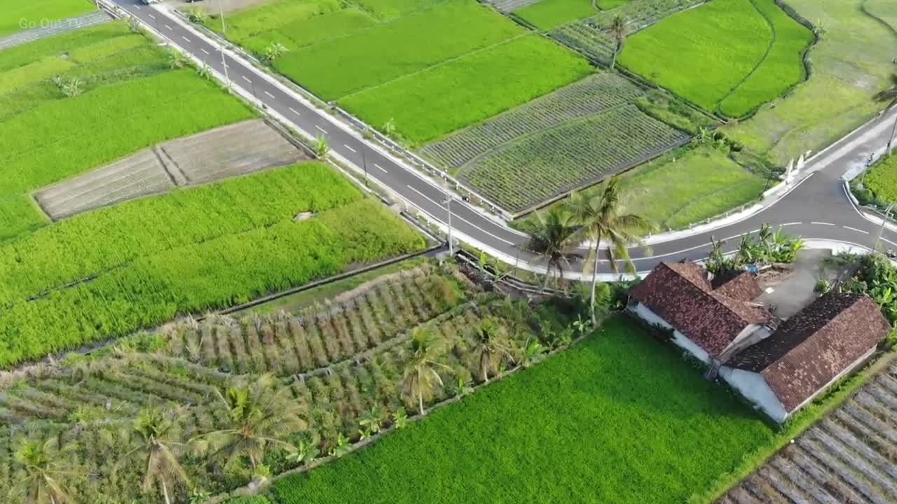 village and rice field drone videos