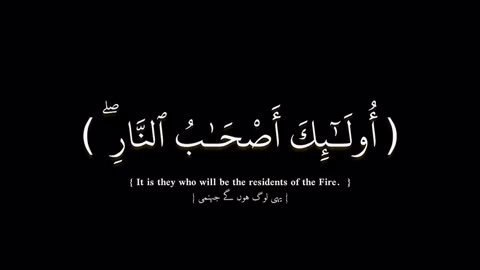 Quran recitation