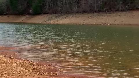 WONDERFUL WATER WALKS AREN’T THEY?