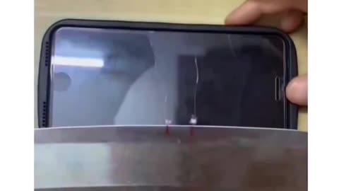 Cat damaged all things in my house 😭 || every one want to see this video 📸