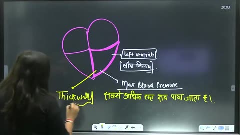 59 circulatory system 6