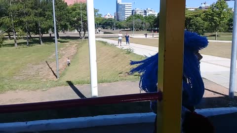 Carreta Balão Mágico em Porto Alegre - Arquivo original 24