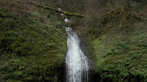 Waterfall in the Woods