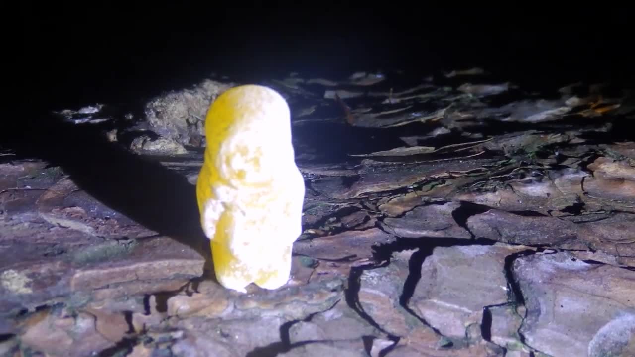 Wild camping nearly caught by Ranger