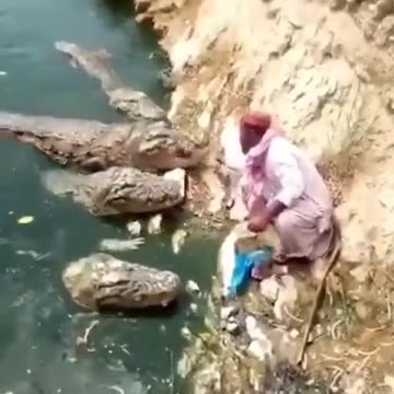 I have never seen anything like this before 😳