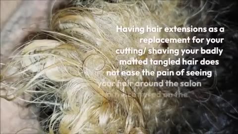 Tangle hairexpert for 2 years extremely matted hair Ultimate hair detangle testimony