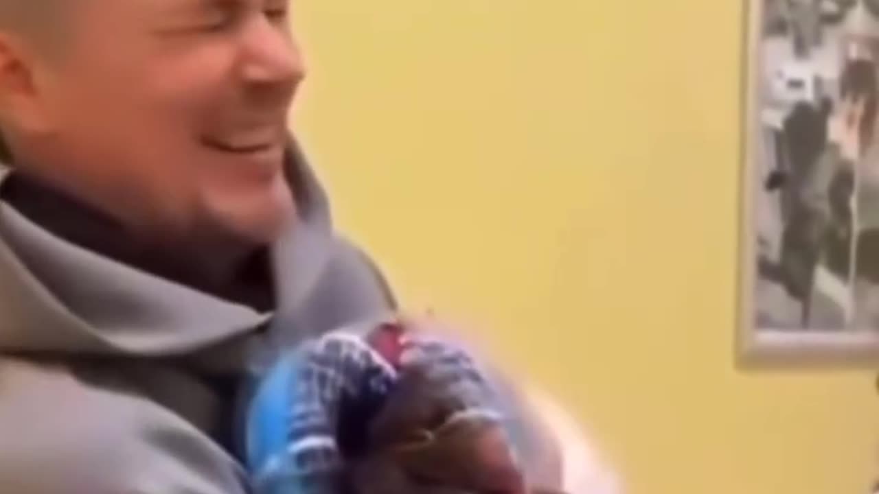 funny dog