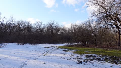 MORNING WINTER IN THE FOREST IN THE CAUCASUS 2022 Relaxing music for the soul!