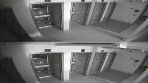 1704CRIB01CribAnalysisArea_2021-01-06_06h00min01s980ms.mp4