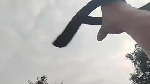 Very High Skill