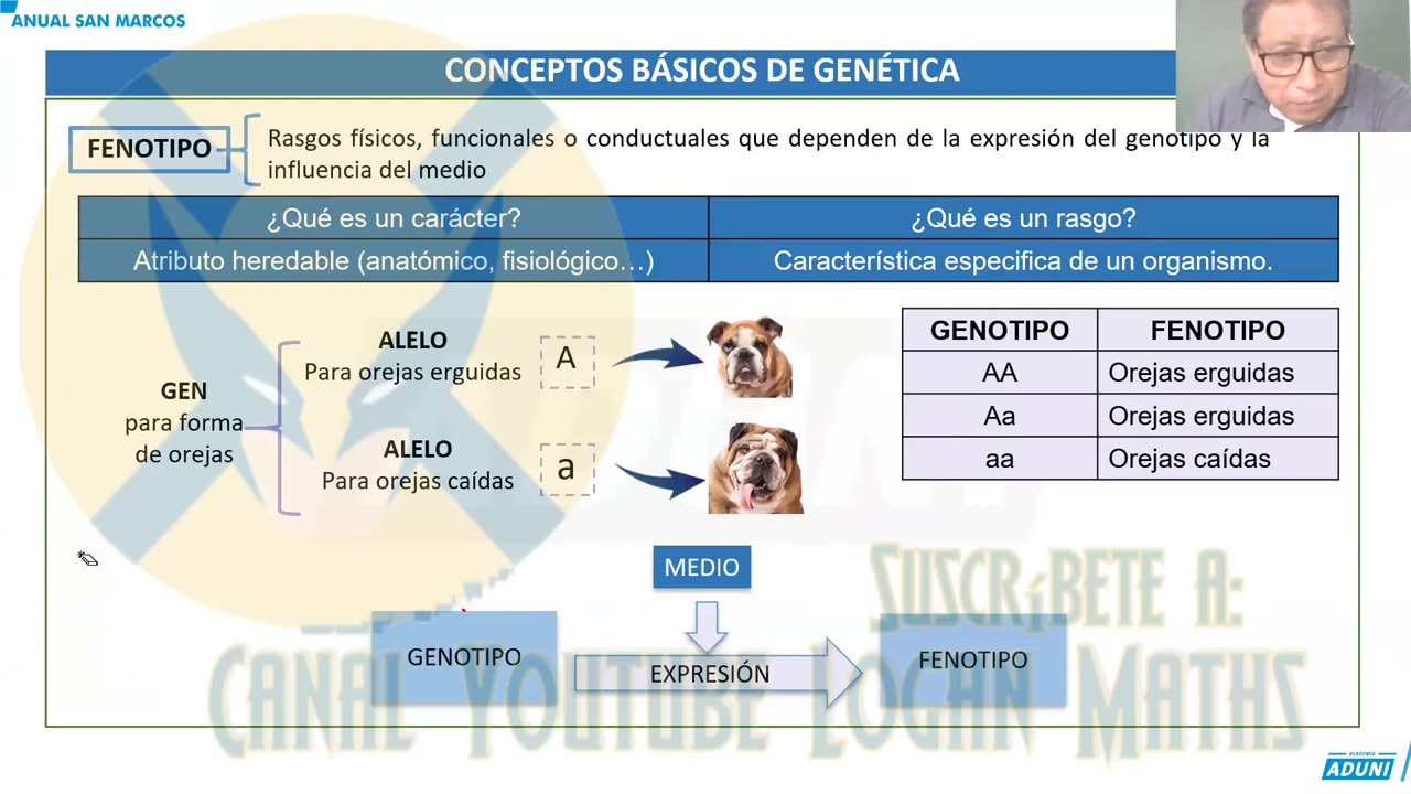 ANUAL ADUNI 2023 | Semana 13 | Biología S2 | Álgebra S2 | Química S2