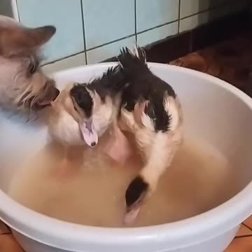 Valentine's Day every day!