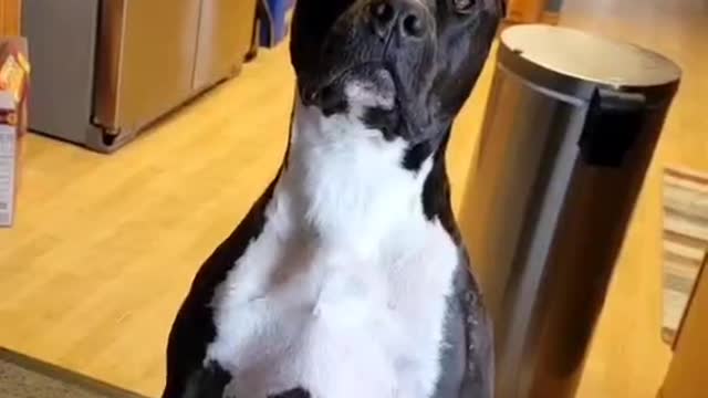 Be nice if you want to eat