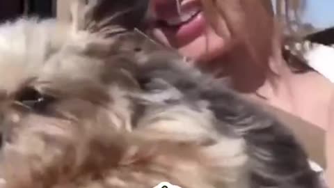 Amber Heard Video Holding Dog Out Car Window