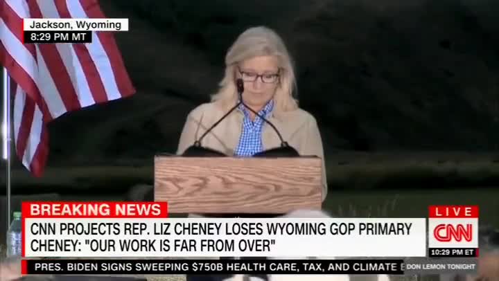 Liz Cheney Compares Herself To Ulysses S Grant!!