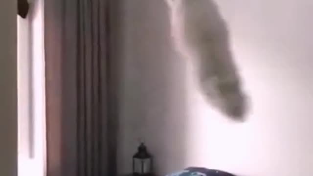the first one swinging on the chandelier like siaππ