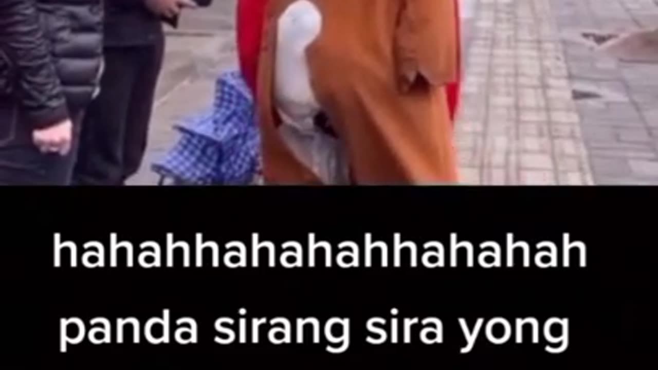 Funny Clips on TikTok #2
