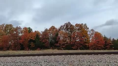 THE TRAIN WITH MILITARY CARS PASSING BY.