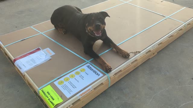 Package guard