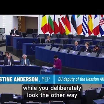 German MEP Christine Anderson On censorship & corruption in the EU