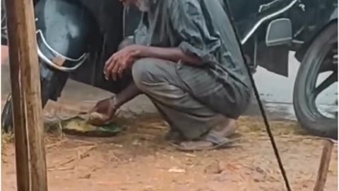 Don't Waste Food