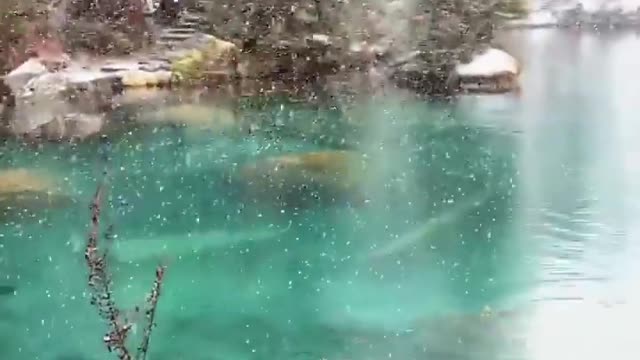 the first snow on a clear river
